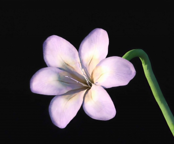 Modern Flowers And Grass-ID:320590023