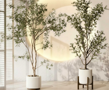 Modern Ground Green Plant Potted Plants-ID:363104104