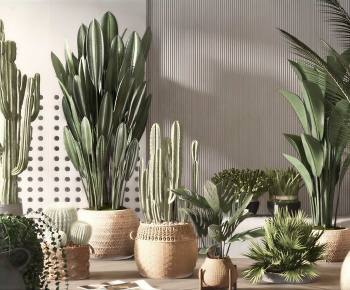 Wabi-sabi Style Ground Green Plant Potted Plants-ID:960290417
