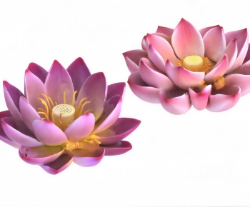 Modern Flowers And Grass-ID:629765996
