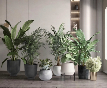 Modern Ground Green Plant Potted Plants-ID:369519953