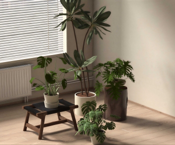 Modern Ground Green Plant Potted Plants-ID:439008005