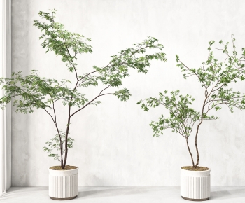 Modern Ground Green Plant Potted Plants-ID:787379981