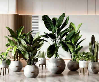 Modern Ground Green Plant Potted Plants-ID:548974999