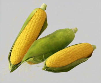 Modern Vegetables-ID:106107009