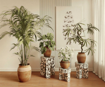 Modern Ground Green Plant Potted Plants-ID:506561047