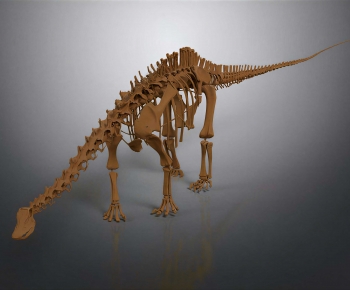 Modern Animal-ID:191299985