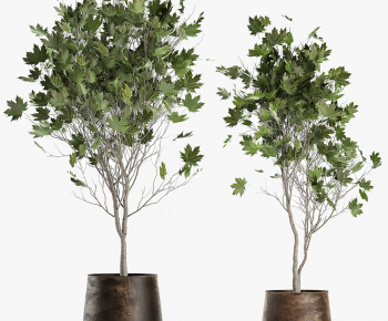 Modern Ground Green Plant Potted Plants-ID:229820018