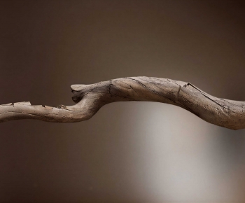 Modern Wood-ID:547883993