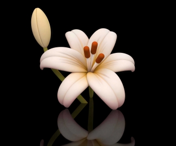 Modern Flowers And Grass-ID:548595913