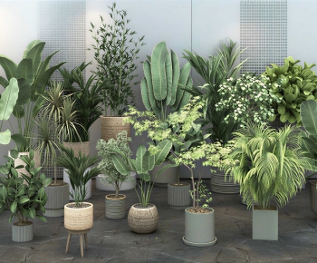 Modern Ground Green Plant Potted Plants-ID:636910926