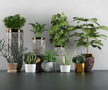 Modern Ground Green Plant Potted Plants-ID:272850995
