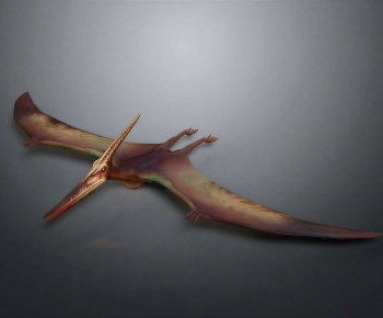 Modern Flying Animals-ID:497023117