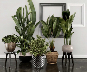 Modern Ground Green Plant Potted Plants-ID:315304996