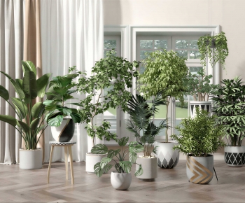 Modern Ground Green Plant Potted Plants-ID:604422097
