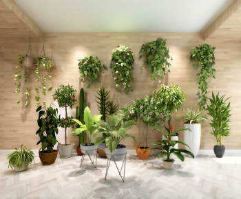Modern Ground Green Plant Potted Plants-ID:930655001