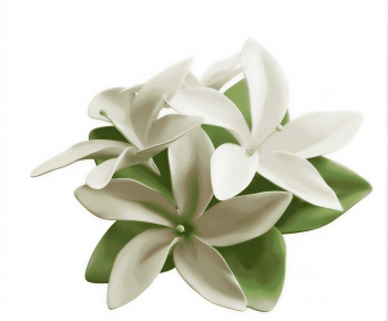 Modern Flowers And Grass-ID:797054051