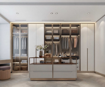 Modern Clothes Storage Area-ID:723906999