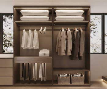 Modern Clothes Storage Area-ID:607795951