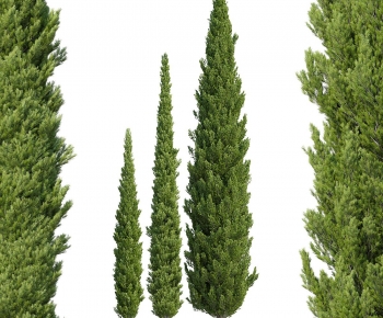 Modern Tree-ID:168910058
