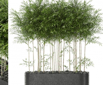 Modern Flower Bed, Flower Bowl, Flower Box-ID:366001192