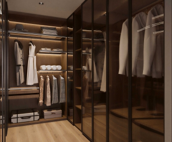 Modern Clothes Storage Area-ID:508302933