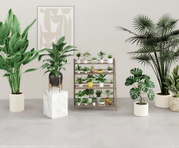 Modern Potted Green Plant-ID:368730072