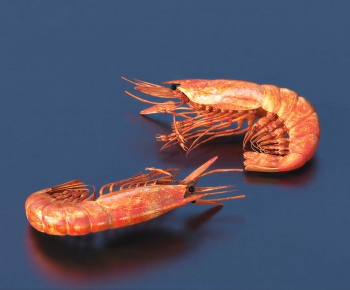 Modern Aquatic Product-ID:835407976