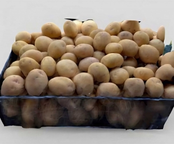 Modern Vegetables-ID:879143003