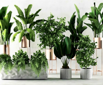 Modern Ground Green Plant Potted Plants-ID:560884955