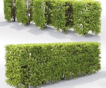 Modern Shrubbery-ID:564908032