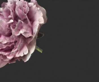 Modern Flowers And Grass-ID:757375002