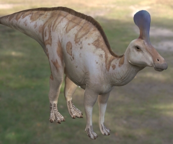 Modern Other Animals-ID:728390937