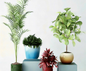 Modern Potted Green Plant-ID:588622095