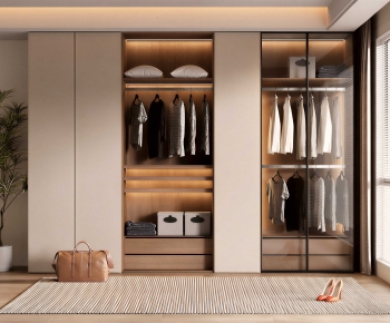 Modern Clothes Storage Area-ID:215682989