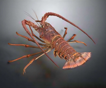Modern Aquatic Product-ID:829315904