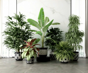 Modern Ground Green Plant Potted Plants-ID:697884089