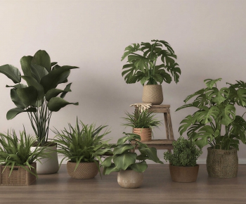 Modern Ground Green Plant Potted Plants-ID:999084951