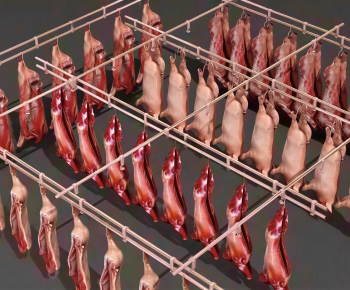 Modern Meat Product-ID:900619052
