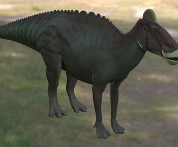 Modern Other Animals-ID:900188927