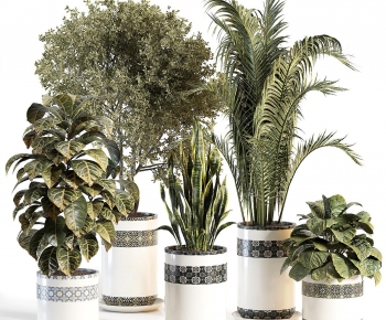Modern Ground Green Plant Potted Plants-ID:127060418