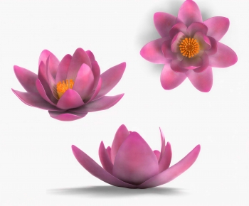 Modern Flowers And Grass-ID:577183015