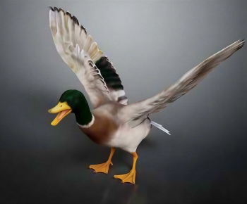 Modern Animal Duck-ID:987675917