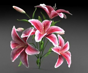 Modern Flowers And Grass-ID:203229909