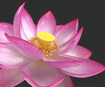 Modern Flowers And Grass-ID:176151041