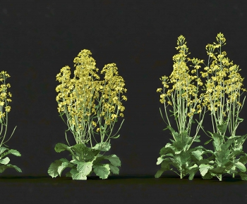 Modern Flowers And Grass-ID:234739848