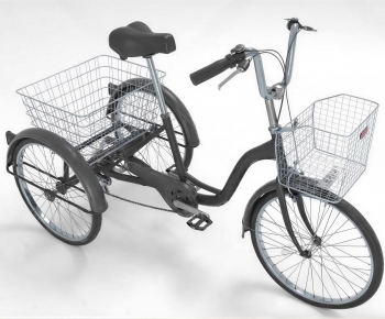 Modern Bicycle-ID:559624913