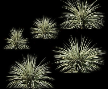 Modern The Grass-ID:435386905