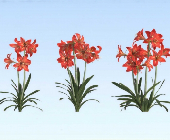 Modern Flowers And Grass-ID:861011988