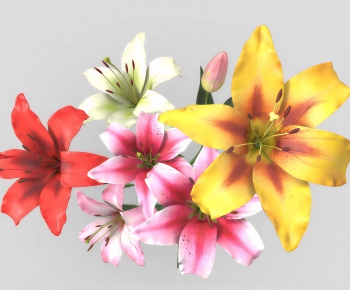 Modern Flowers And Grass-ID:286442047